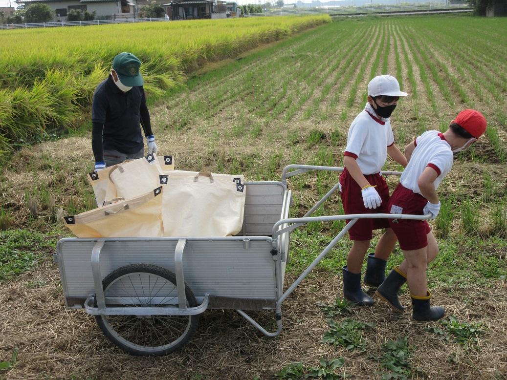 031008 脱穀8