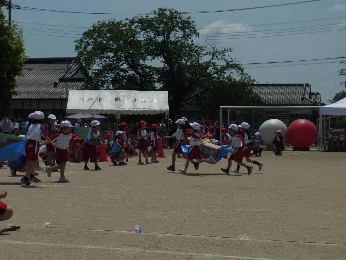 R0016579 R0016579