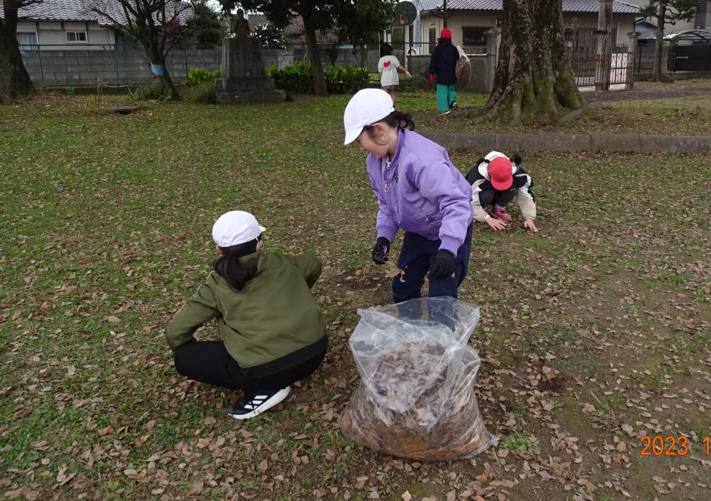 落ち葉3 落ち葉3