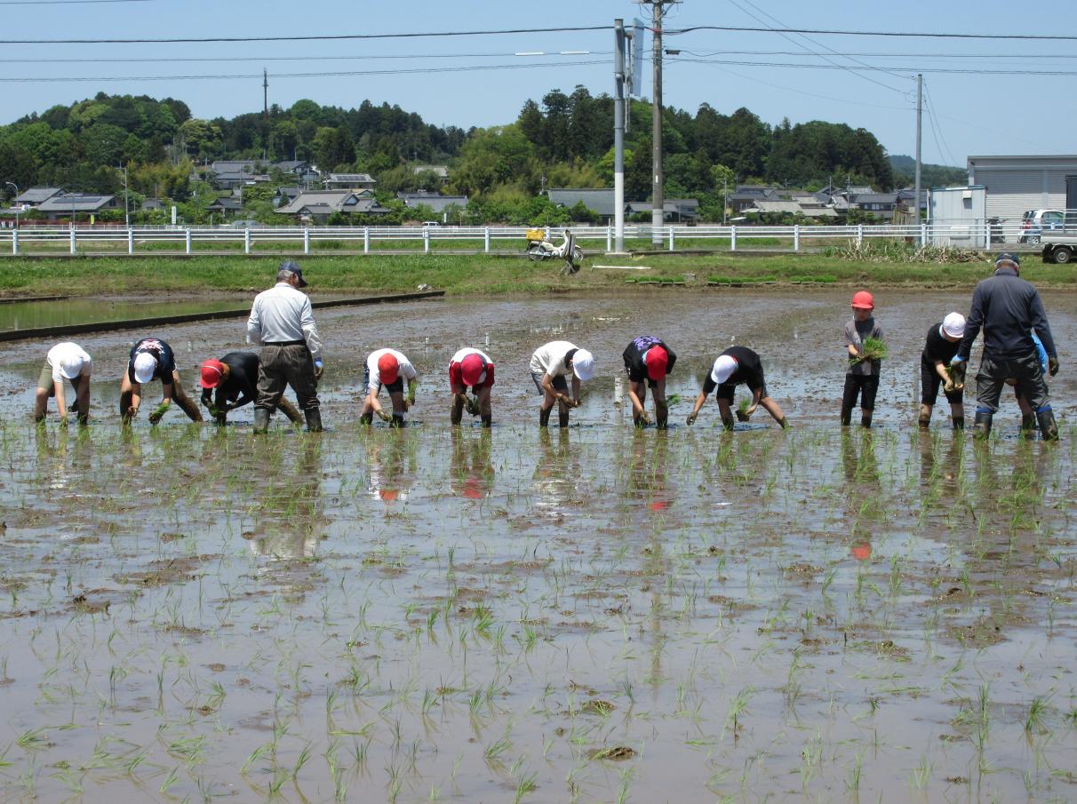 5年 5年