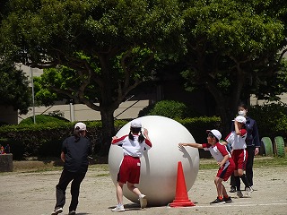 大玉おくり1 大玉おくり1