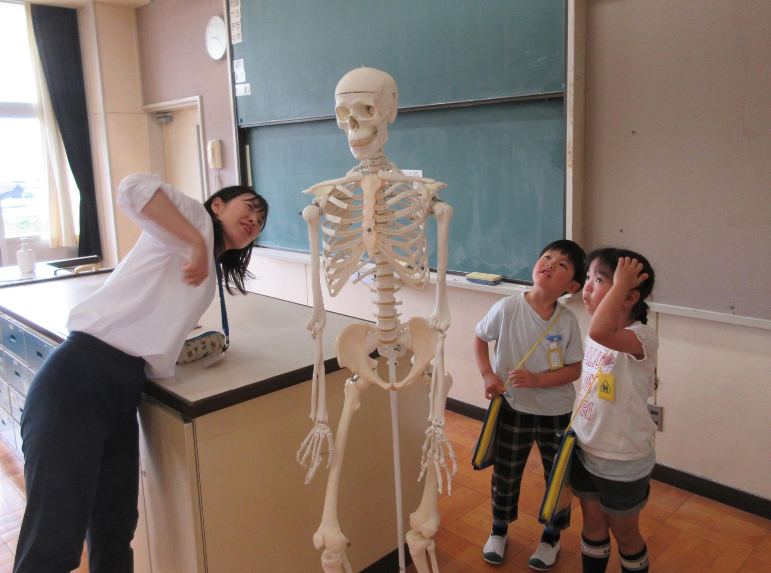 理科室1 理科室1