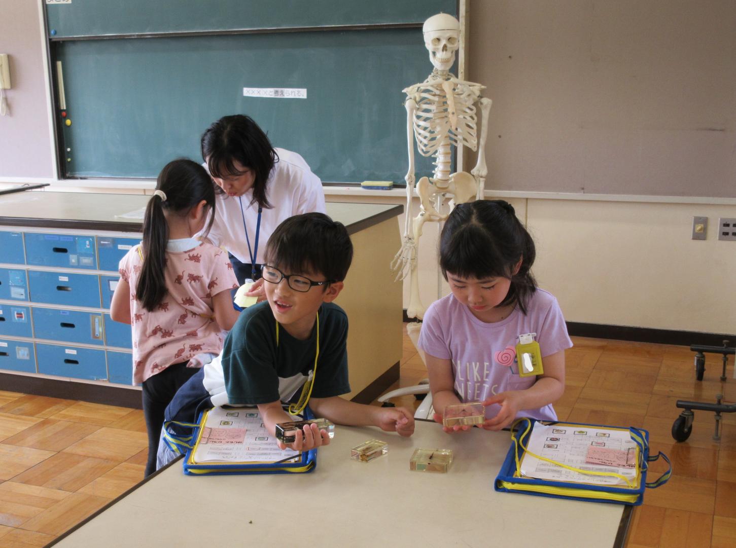 理科室2 理科室2