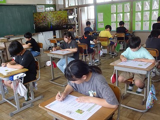 テスト5年 テスト5年