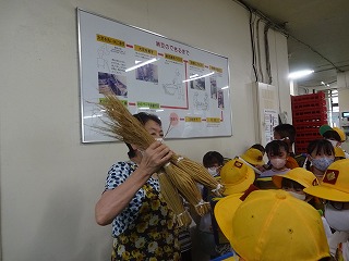 納豆工場見学(1)