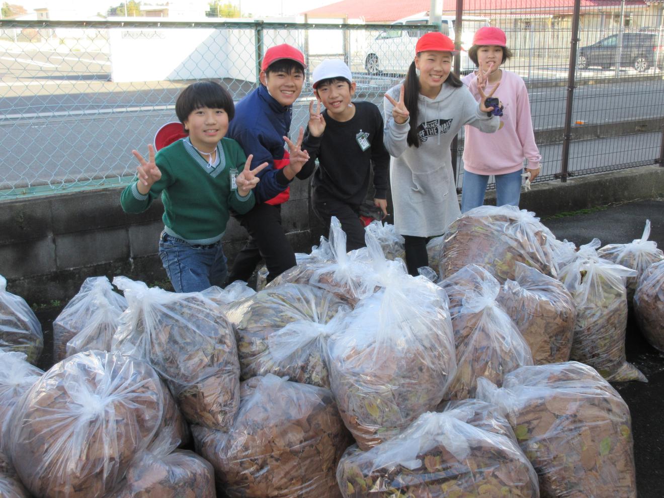 落ち葉拾い8 落ち葉拾い8