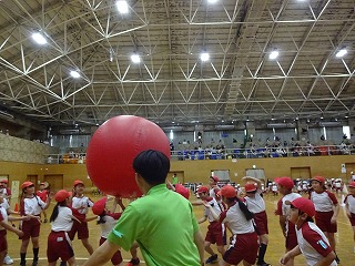 DSC02929 DSC02929