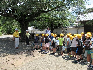 IMG_0641 IMG_0641