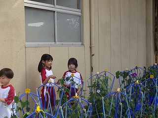 DSC03471