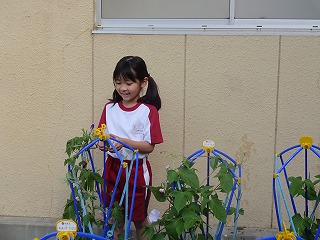 DSC03474