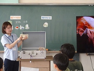 DSC03562