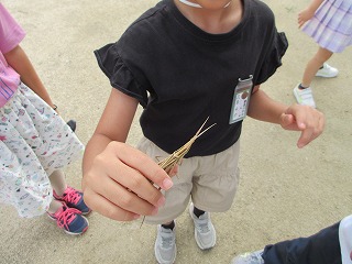 IMG_0953