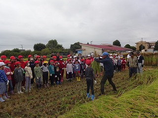 DSC03921