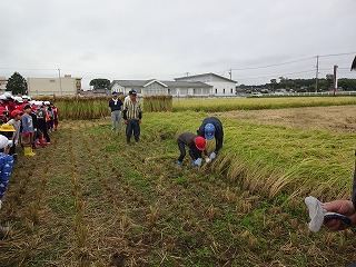 DSC03916