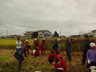 DSC03942