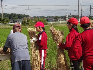 DSC04099