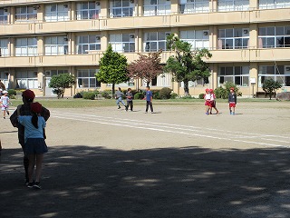 IMG_1252 IMG_1252