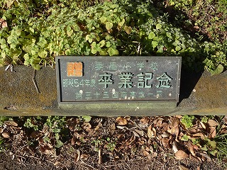 DSC04934