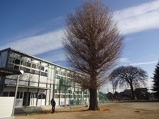 DSC05242