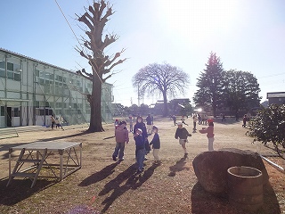 DSC05453