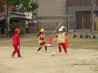 DSC06208