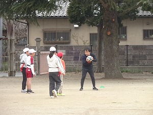 DSC06231