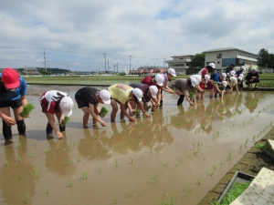 IMG_3073