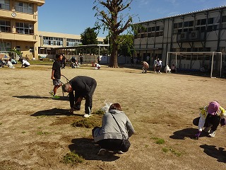 DSC06581
