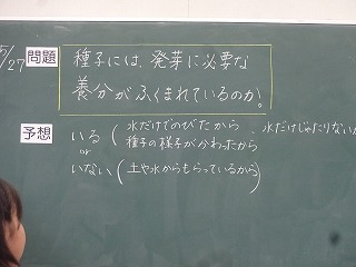 DSC06779