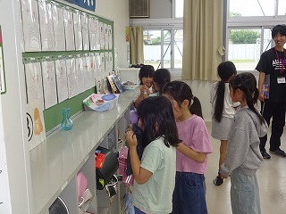 DSC07152