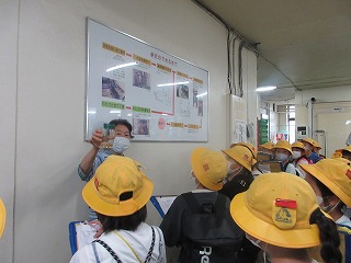 IMG_3555