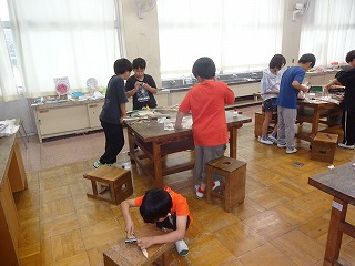 DSC07176