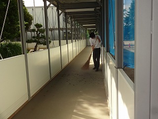 DSC07354