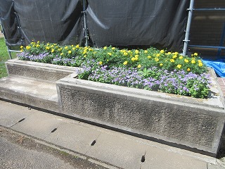 IMG_3883新