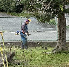 8.6草刈り1