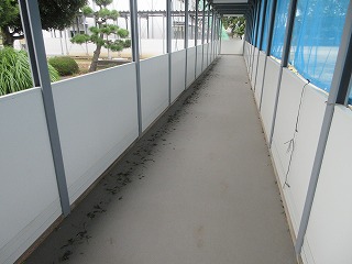 IMG_0293新 IMG_0293新
