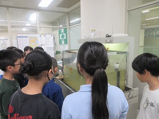 IMG_0399