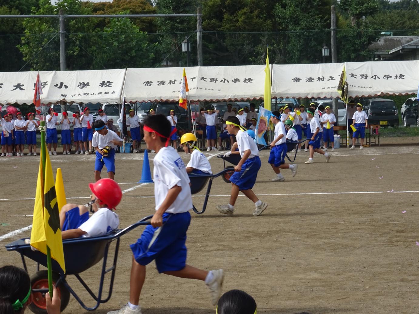 DSC04599 DSC04599