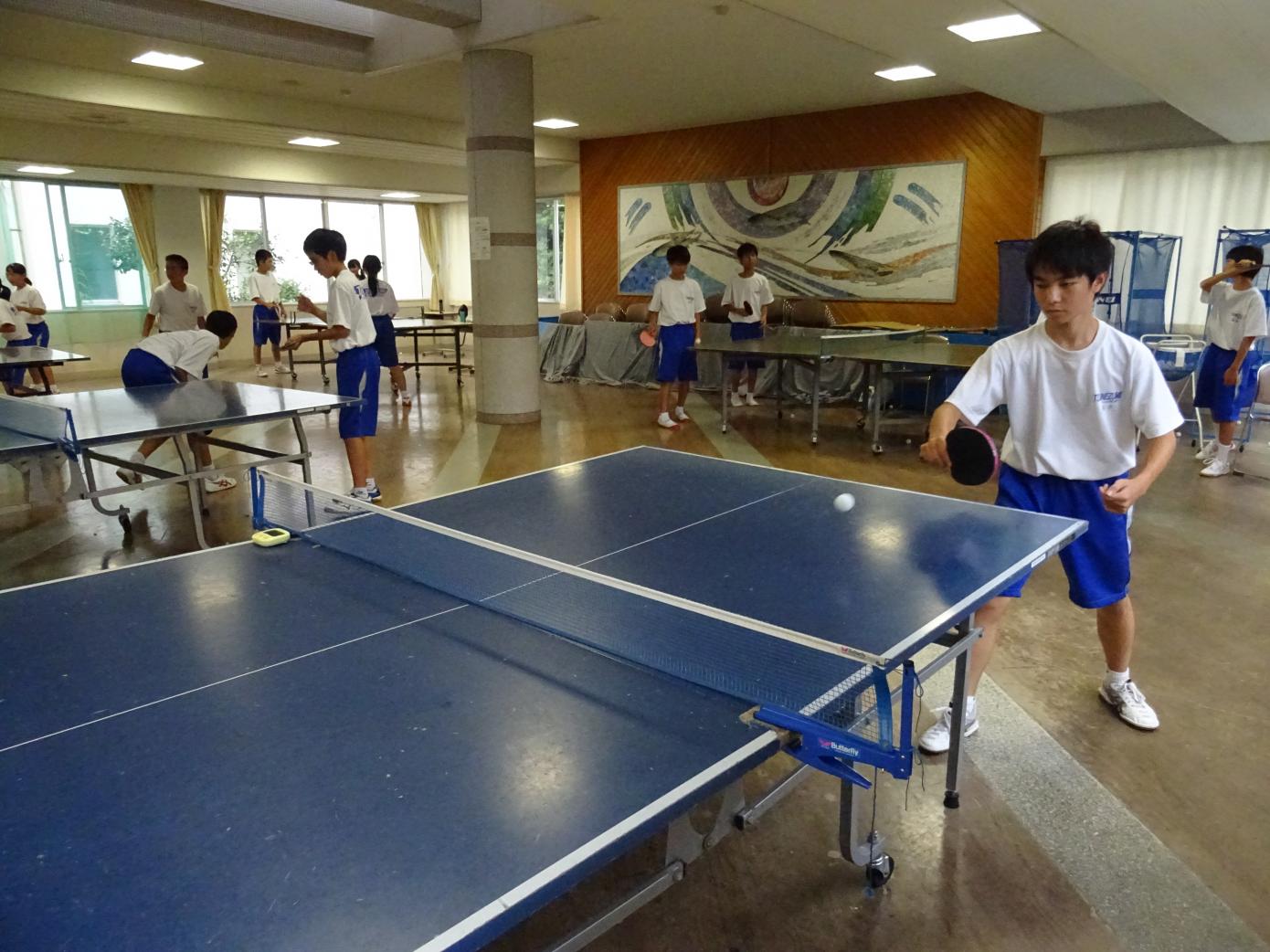 DSC05277 DSC05277