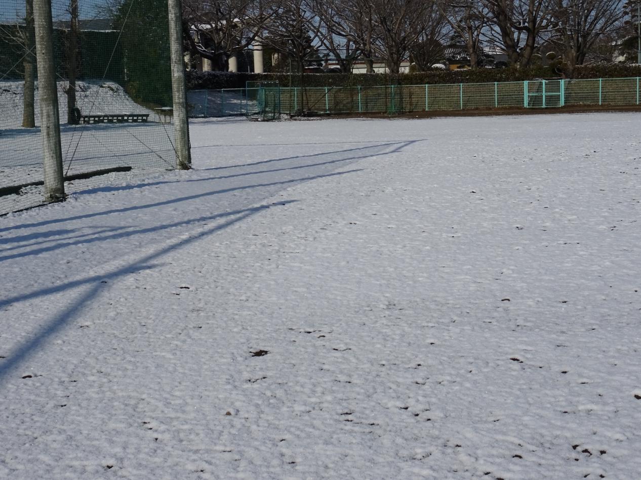 DSC06599 DSC06599