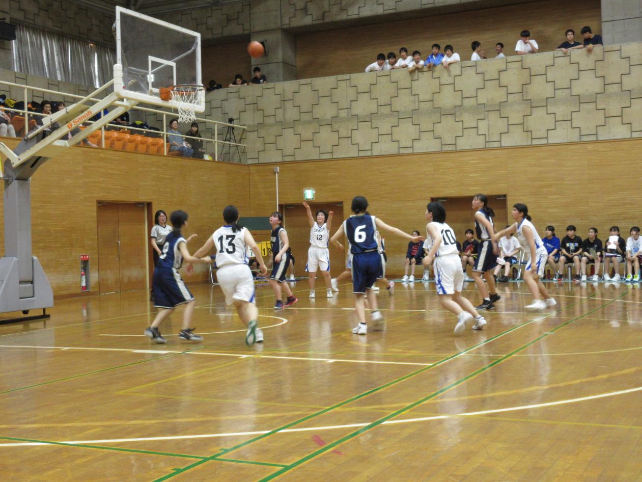 1IMG_7778 1IMG_7778