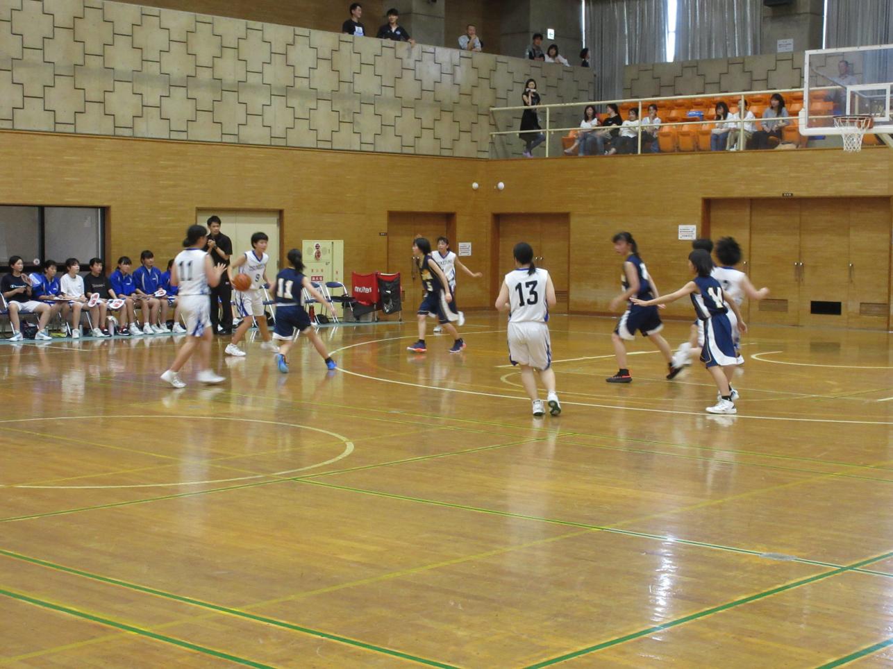 3IMG_7806 3IMG_7806