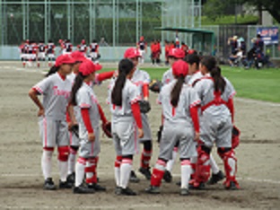 IMG_7950 IMG_7950