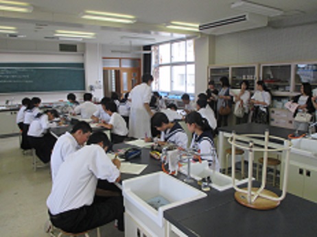 IMG_0192 IMG_0192
