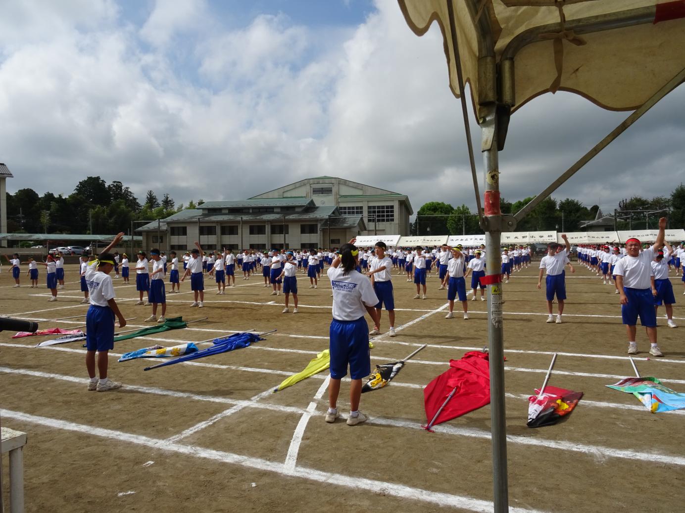 DSC07486 DSC07486
