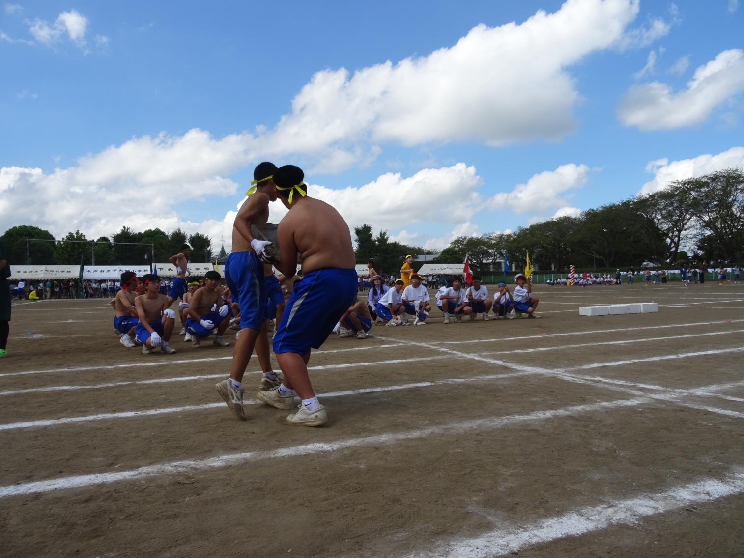 DSC07584 DSC07584