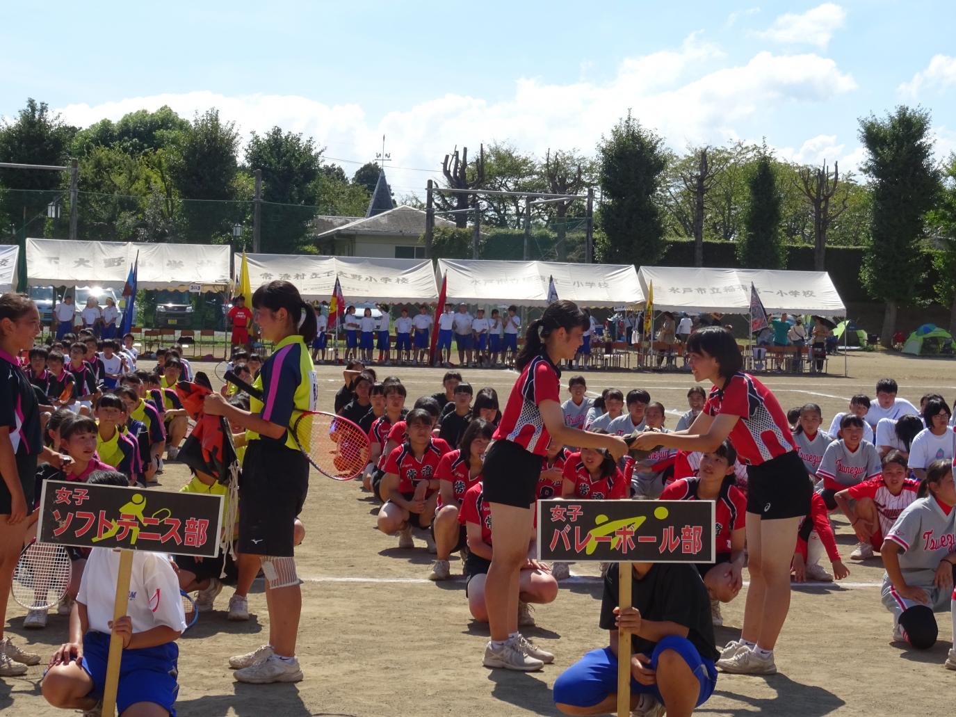 DSC07774 DSC07774