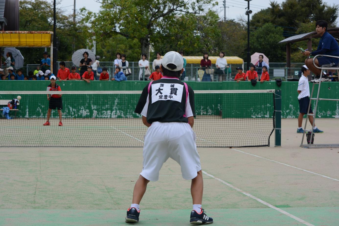 DSC_0033 DSC_0033