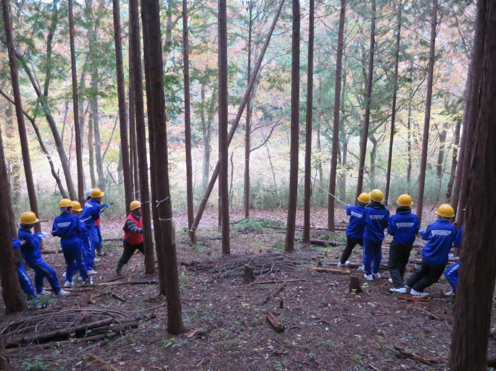 林業体験(2) 林業体験(2)