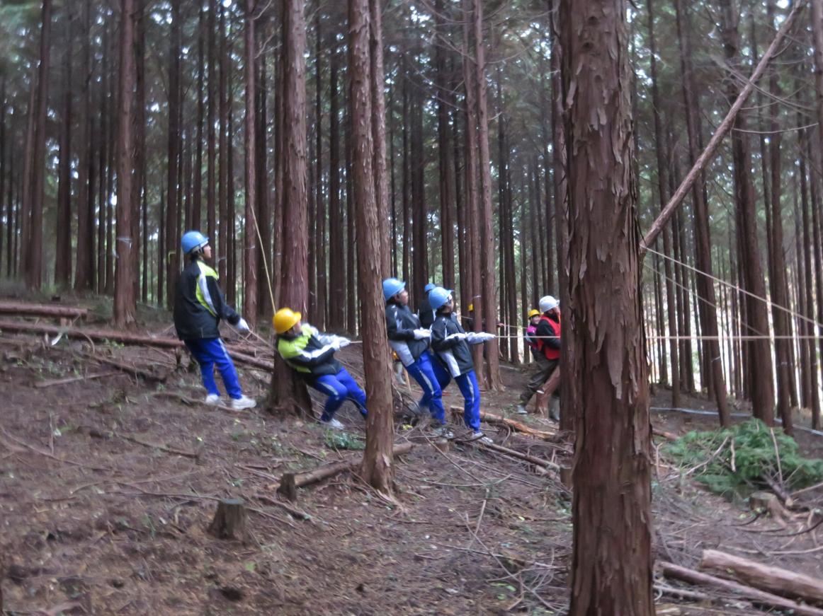 林業体験(6) 林業体験(6)